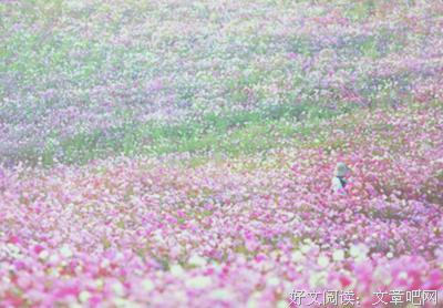 最经典的《随笔集》名句欣赏
