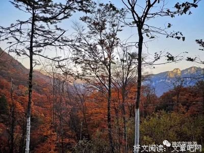 急不可待的句子