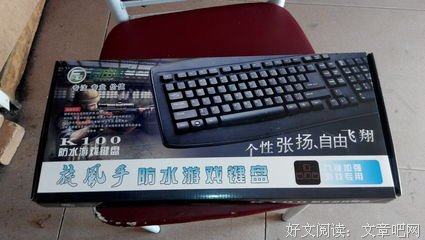 描写燕双飞的经典句子