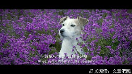 跃然纸上的名句_关于跃然纸上的名句