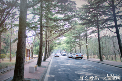 陪伴，是最好的承诺