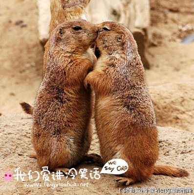 结婚这件小事