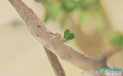关于某某某的唯美语录