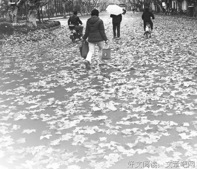 冷冰 | 深远之上