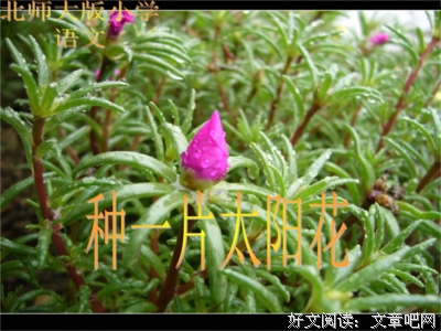经久不衰的句子