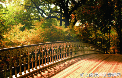下坡路的语句摘抄_关于下坡路的语句