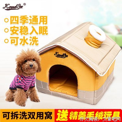 现代人的私密，全都被猫狗看光了