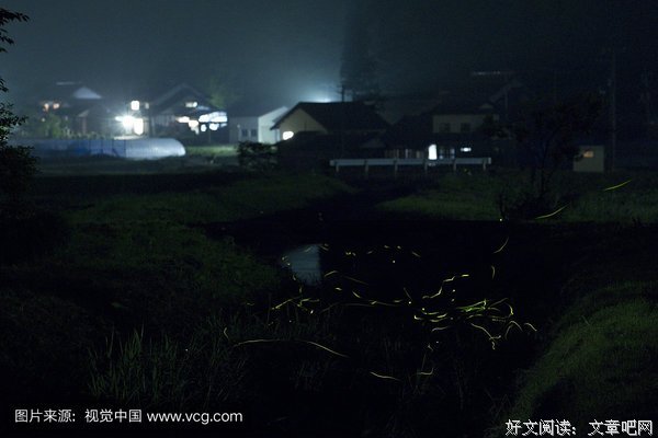 《萤火虫的光》的句子