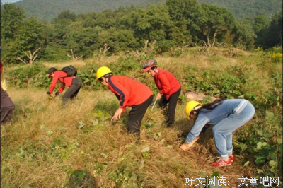 《爱向种地去只限制》的句子