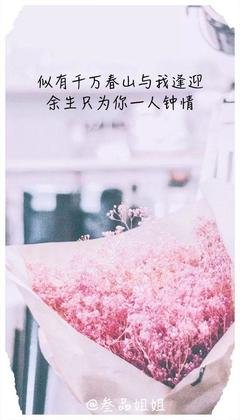只为你句子