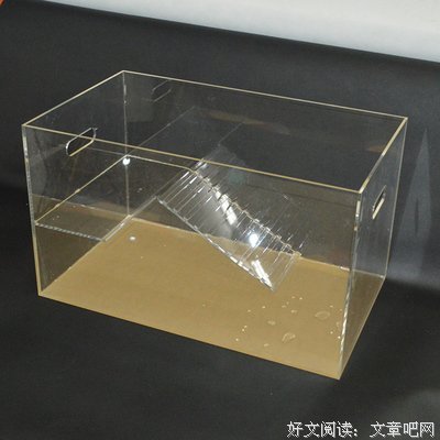 2018甲鱼不是龟名言大全