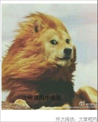 关于张智尧名言