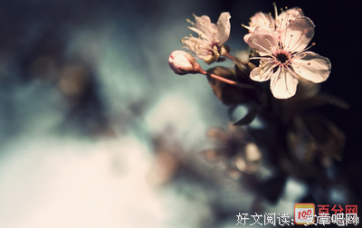 2018列夫·托尔斯泰名言大全
