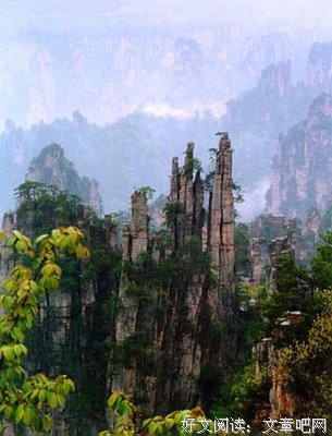 最新的《九个故事》经典名句