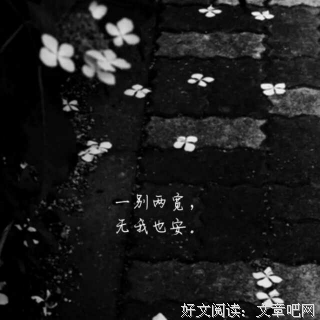 最全的《于心有愧》经典句子