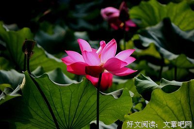 年，越来越近......