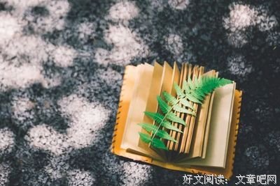 最全的《得未曾有》经典名句