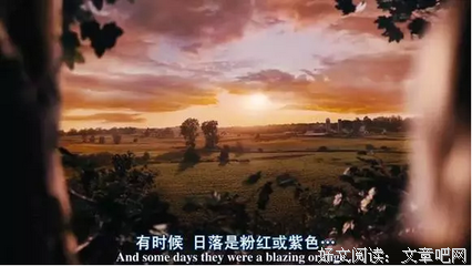 最新的《怦然心动》佳句摘抄