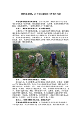 描写悔不当初的经典句子