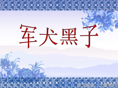 描写无动于衷的经典句子