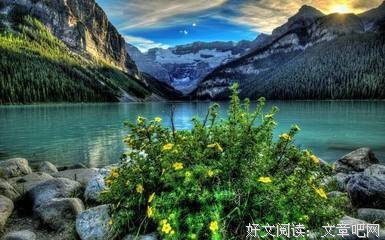 有关悄无声息的美文美句摘抄