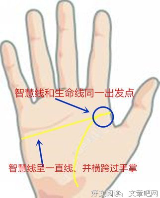 手相 | 详析生命智慧感情线