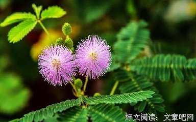 痛彻心扉＿体悟的优美句子