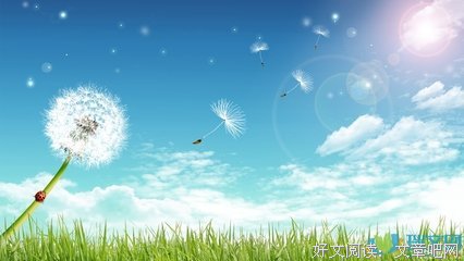 相遇的优美句子