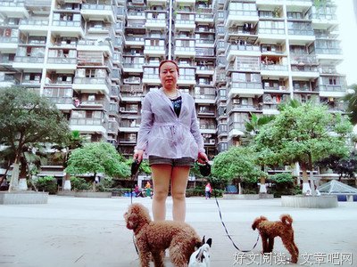 最经典的延参法严也名言大全