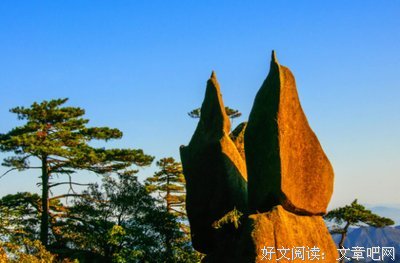 茶深名言大全