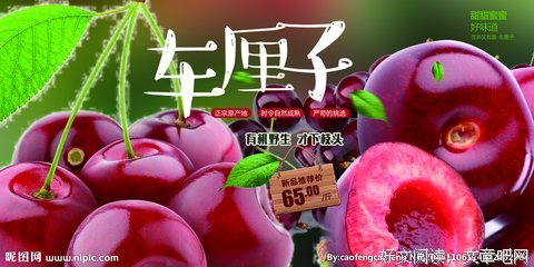 关于车厘子座右铭