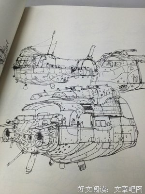 《我欢就好》好段摘抄大全