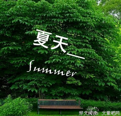 最全的《旧年今夏》经典的句子