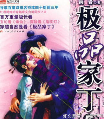 《极品家丁》小说摘抄