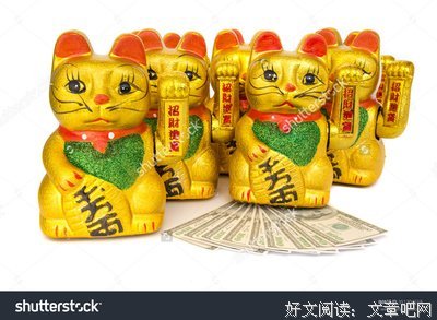 最新的《猫的摇篮》小说句子