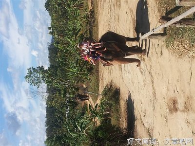 《托来里人还而把泰的可爱》的句子
