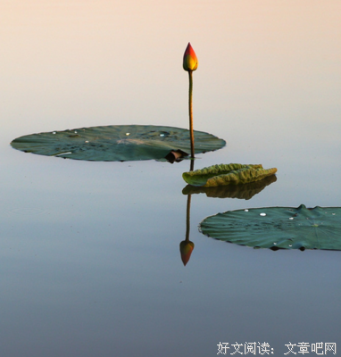 经年经典的句子