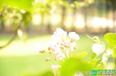 关于流年的句子