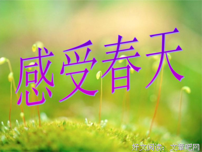 追好词好句