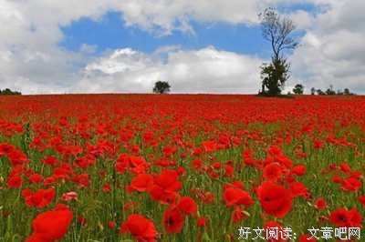 时光名句欣赏