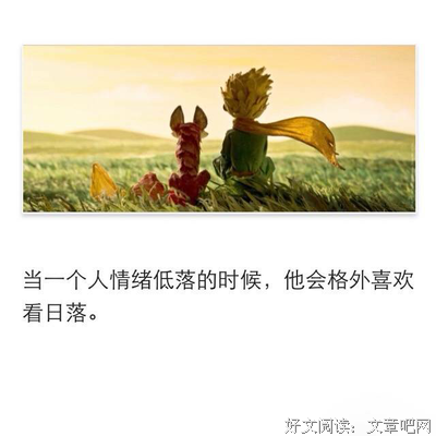 姬安宁经典语录名言