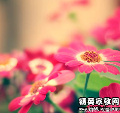 最经典的吕白Alex的格言