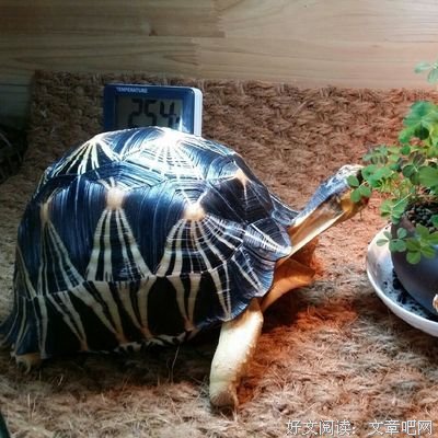 许宁的名言