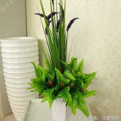 叶小波的名句