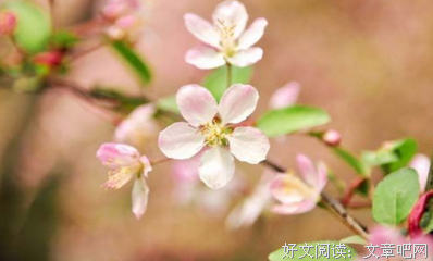 最全的《行者无疆》好段摘抄大全