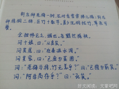 最全的《追忆杂记》好段摘抄