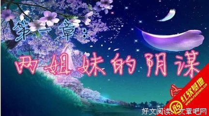 最全的《阴毒狠妃》经典句子