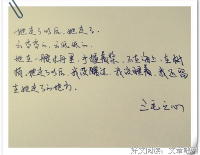 最新的《亲爱的三毛》唯美语录