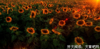 最经典的《善恶的彼岸》佳句摘抄大全