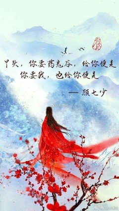 最经典的《天才小毒妃》经典语句